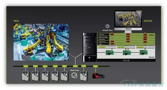 ����˫��̥�����ڳ�Ϊ��������������