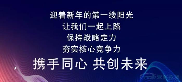 致敬不平庸的2019年